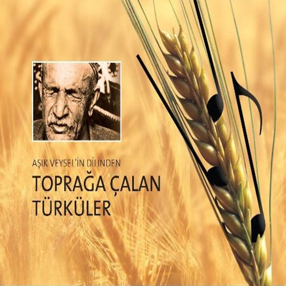 Picture of Toprağa Çalan Türküler