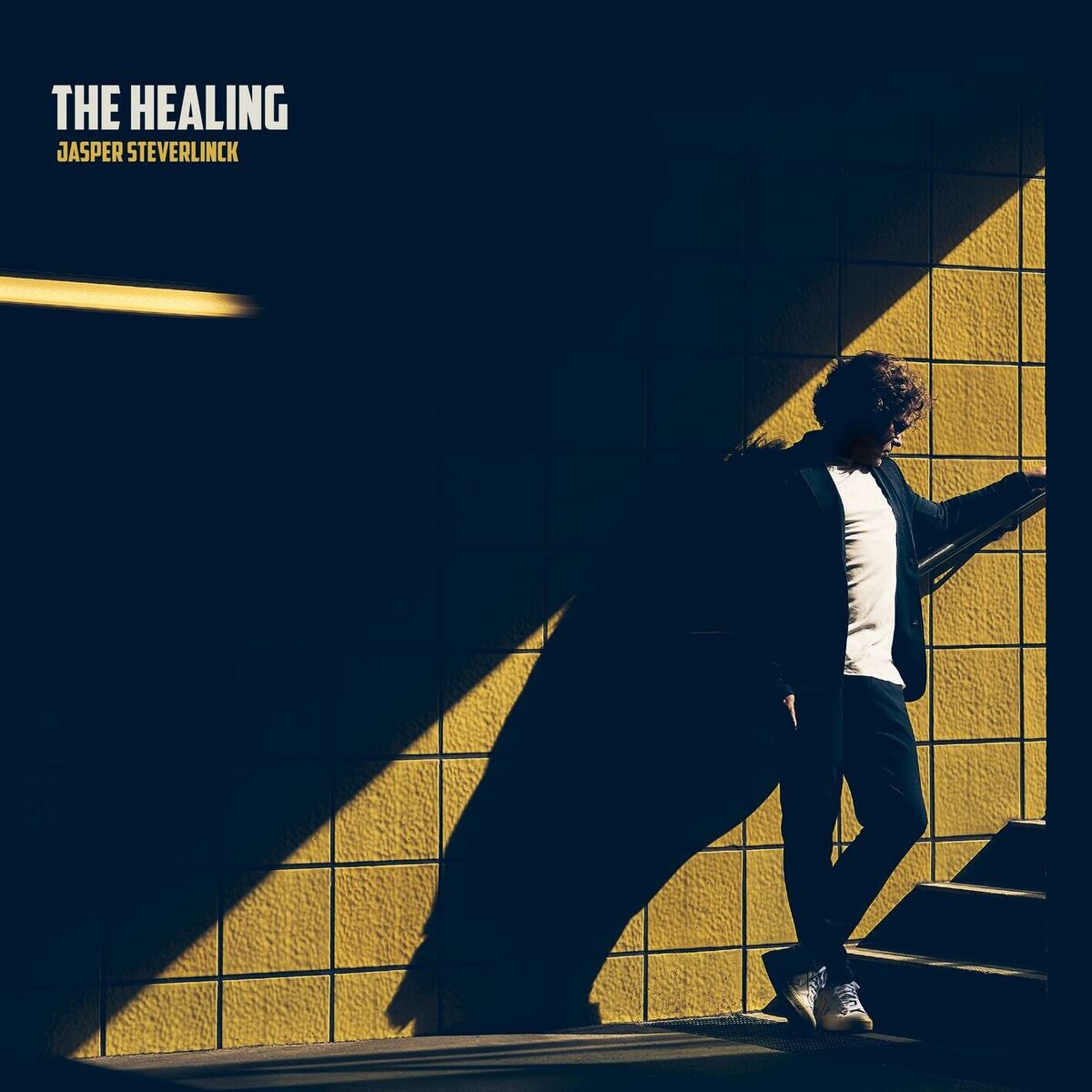Album cover of Dear Life