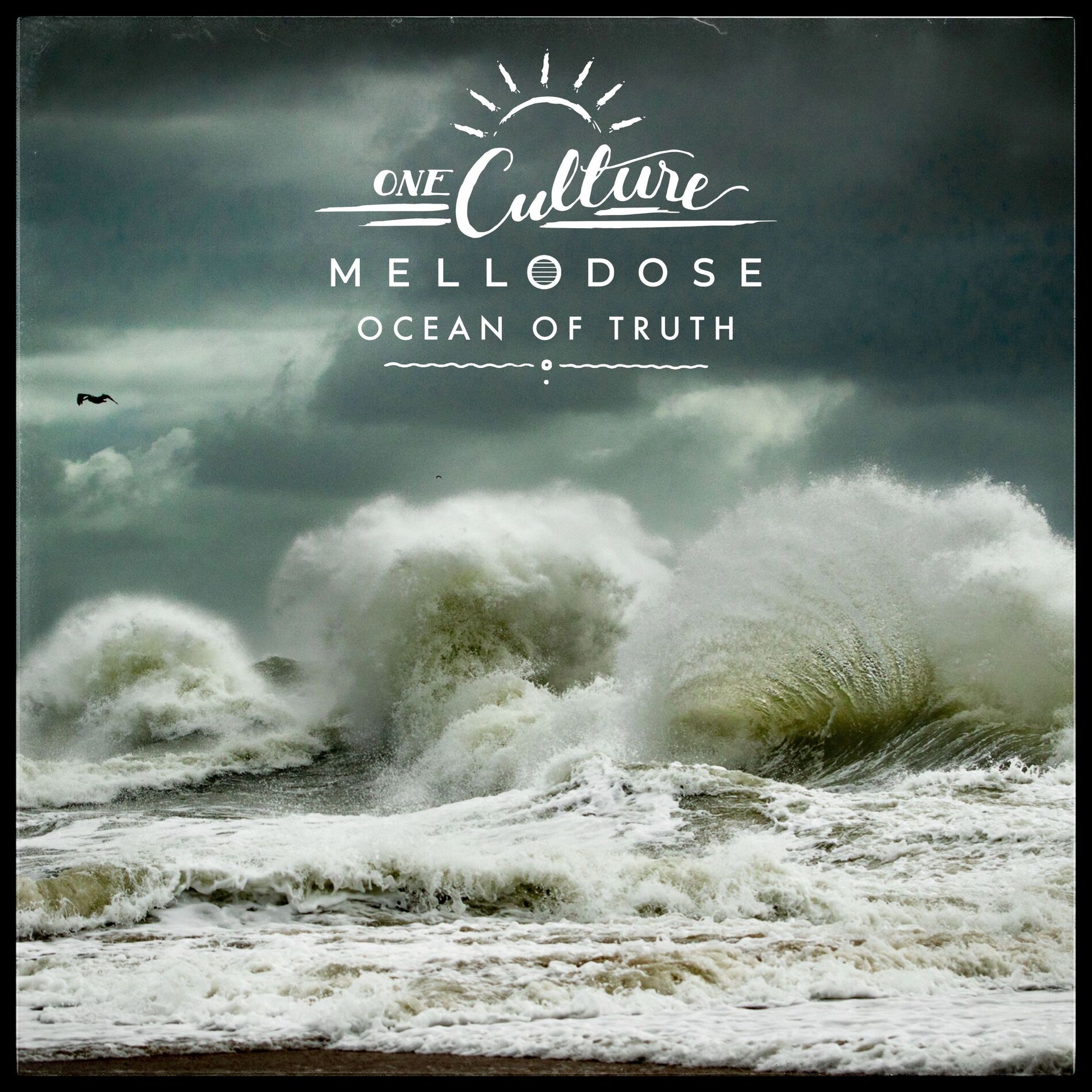 Album cover of Ocean of Truth