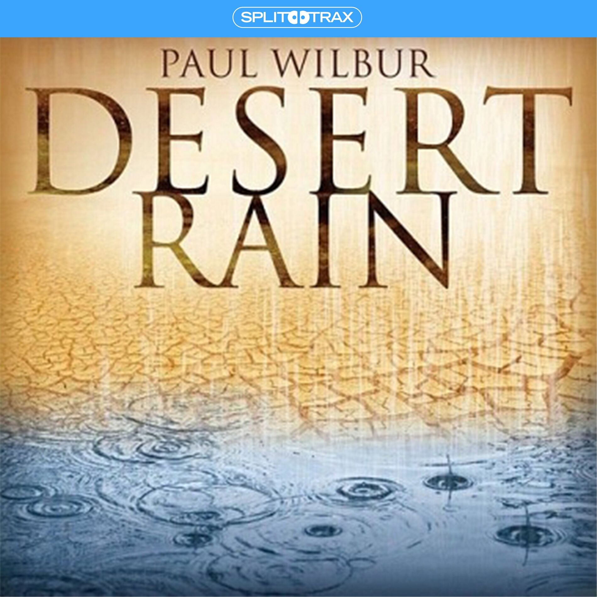 Album cover of Desert Rain