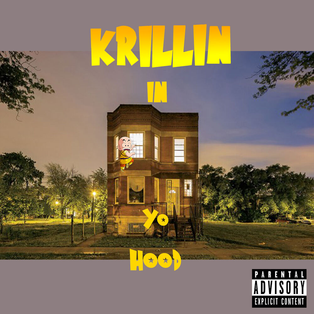 Picture of Krillin In Yo Hood