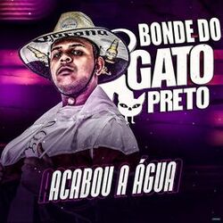 Cover of Acabou a Água