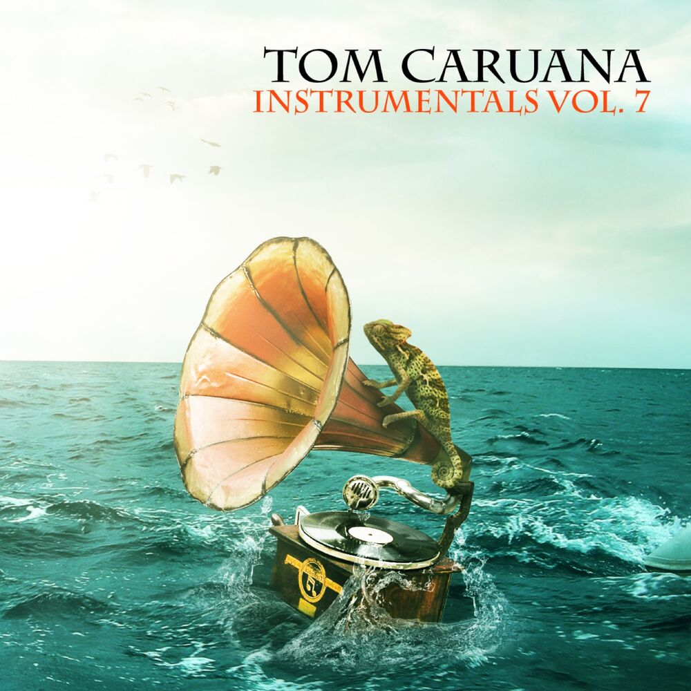 Picture of Instrumentals, Vol. 7