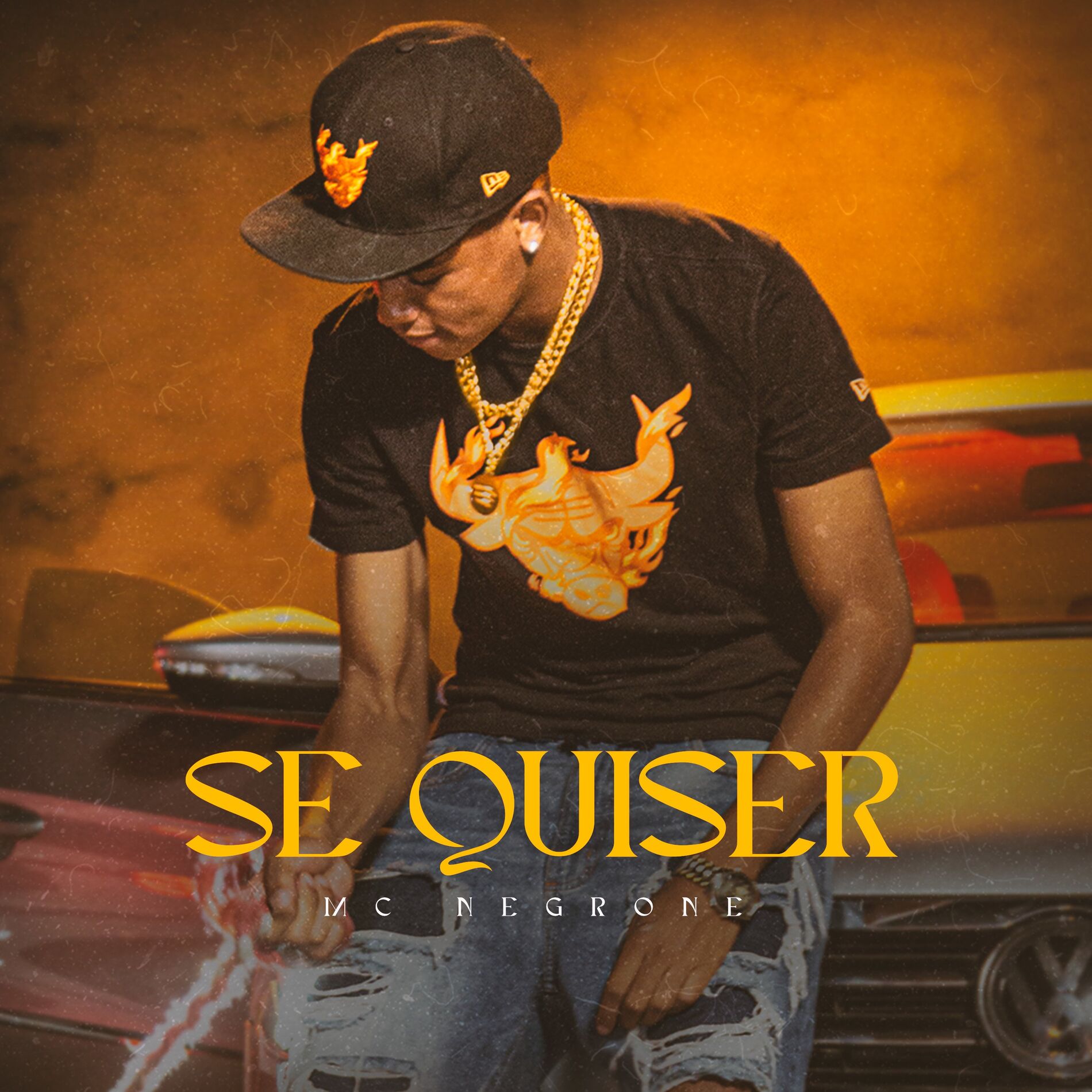 Album cover of Se Quiser