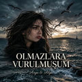 Olmazlara Vurulmuşum