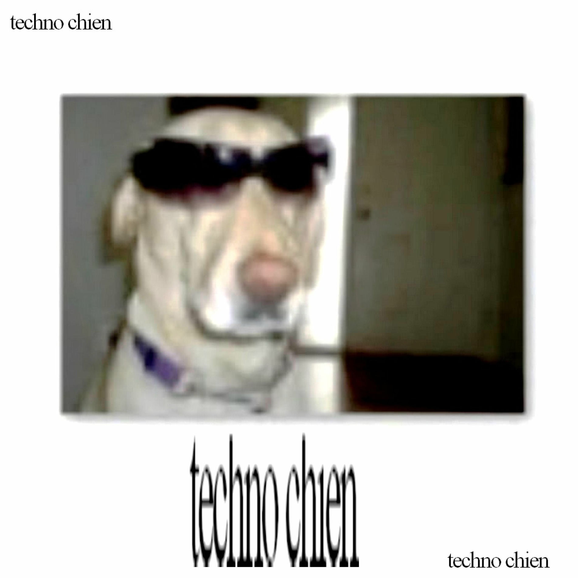 Album cover of techno chien : la naissance de l'enfant maudit