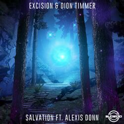 Cover of Salvation