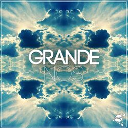 Cover of N.O.S