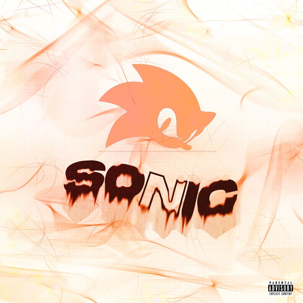Picture of SONIC!