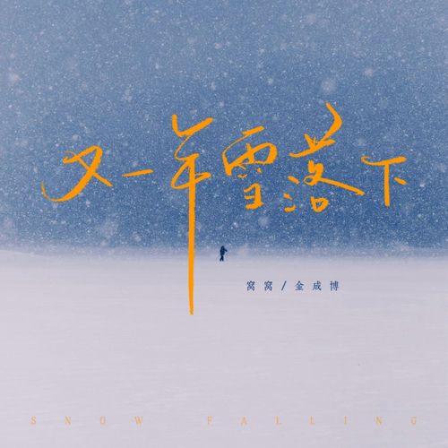 又一年雪落下