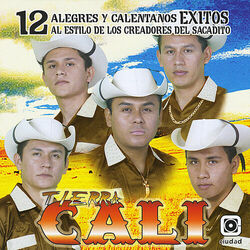 Cover of 12 Alegres y Calentanos Exitos