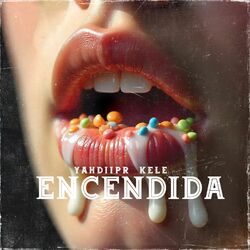 Cover of Encendida