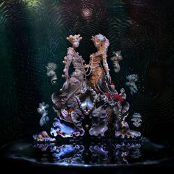 Cover of Oral