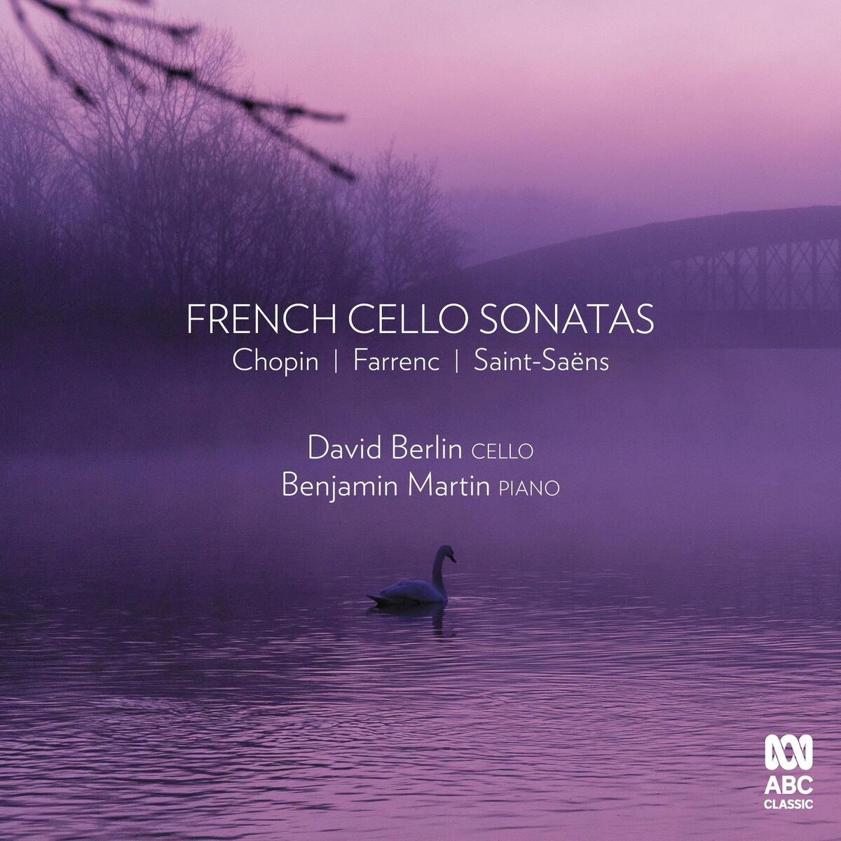 Album cover of Cello Sonata in G Minor, Op. 65: 1. Allegro moderato