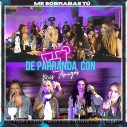 Cover of De parranda con mis amigas / me sobrabas tú