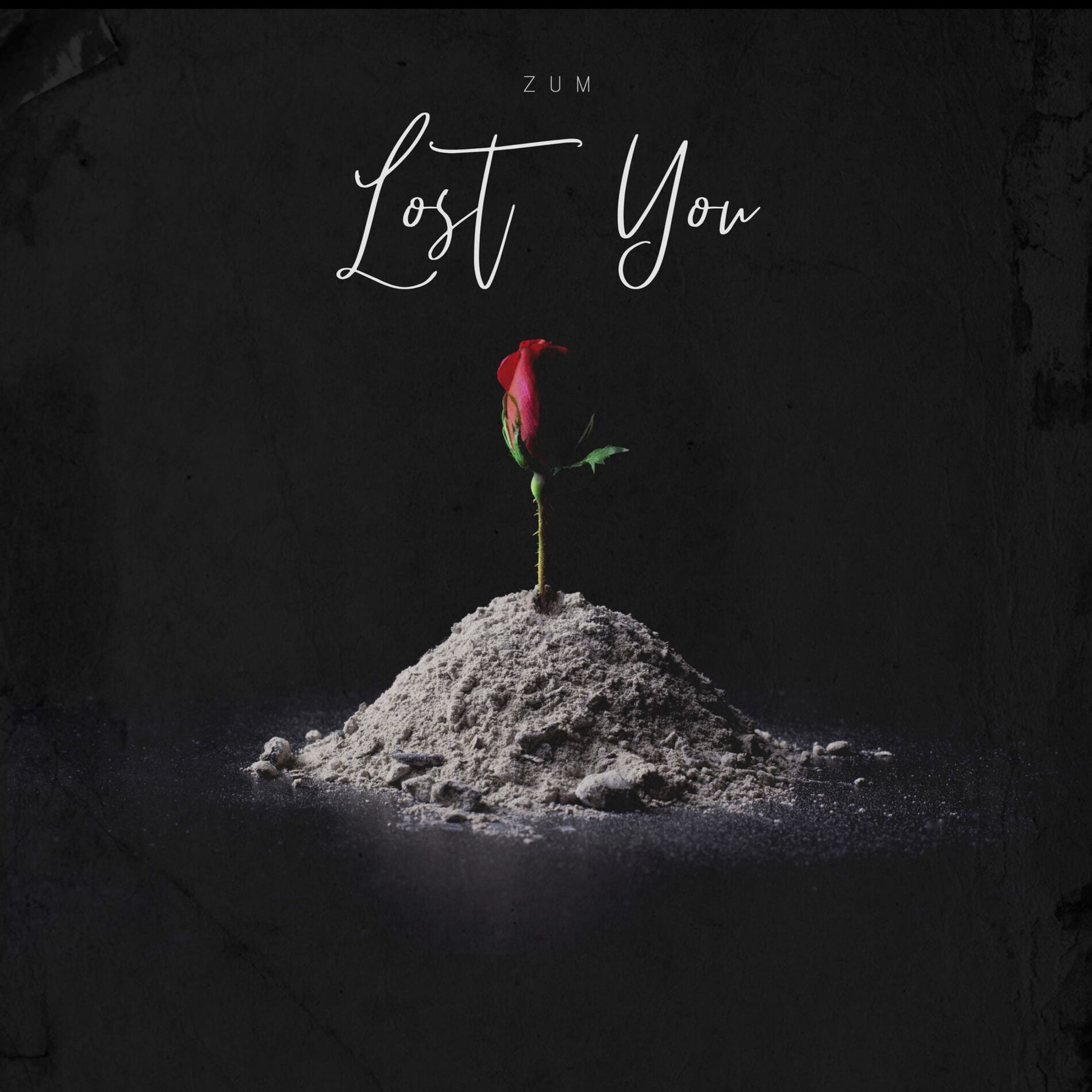 Album cover of Lost You
