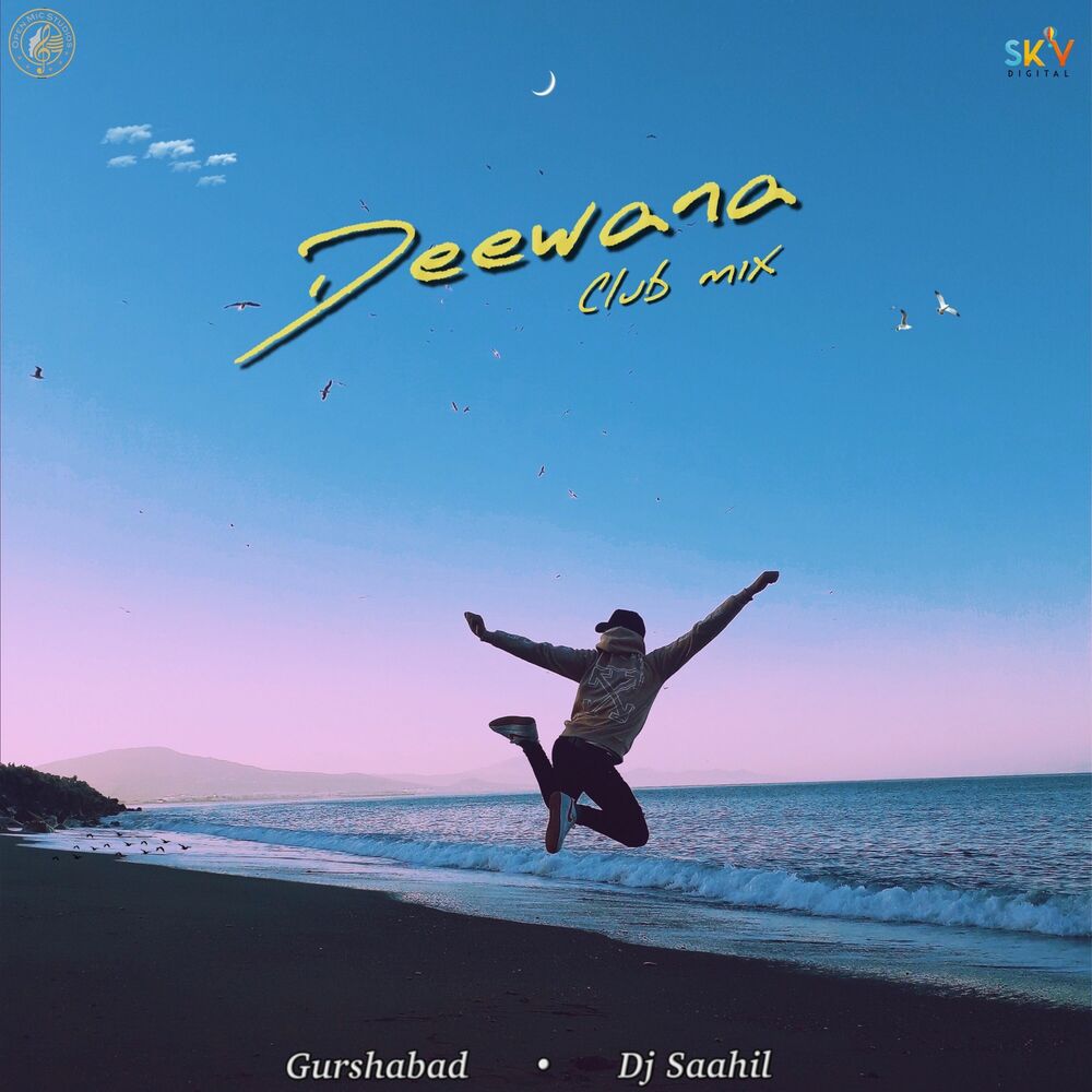 Picture of Deewana Club Mix