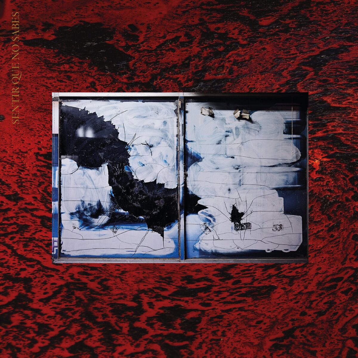 Album cover of Oídos