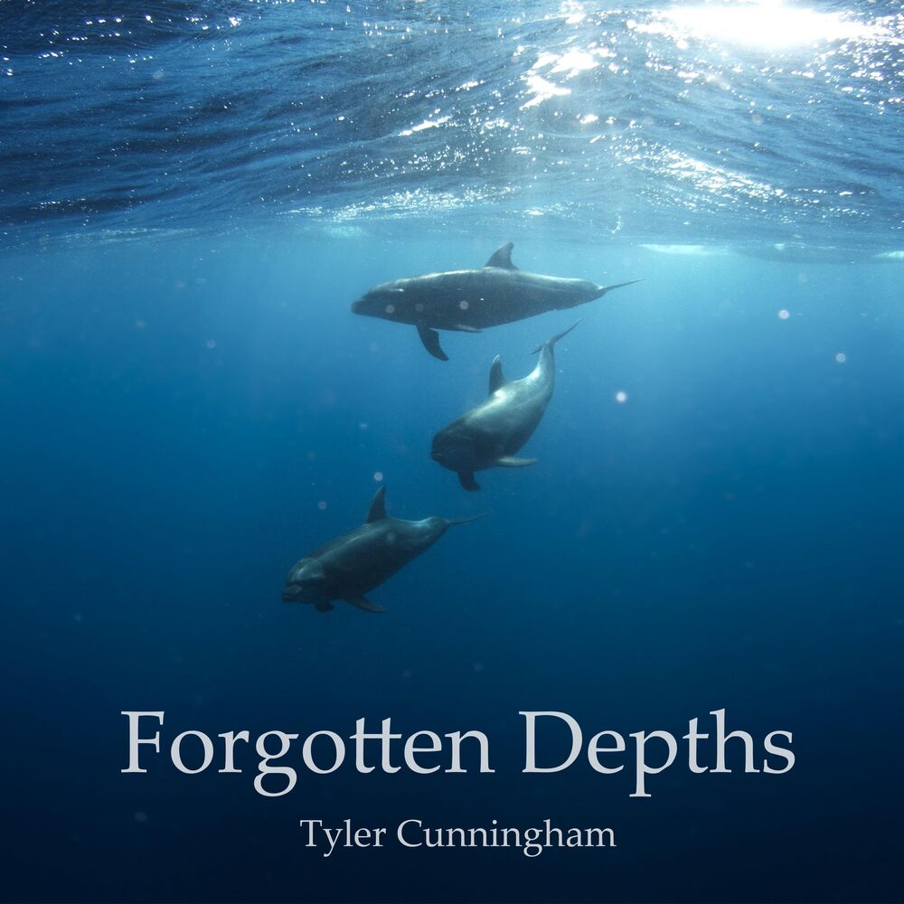 Picture of Forgotten Depths