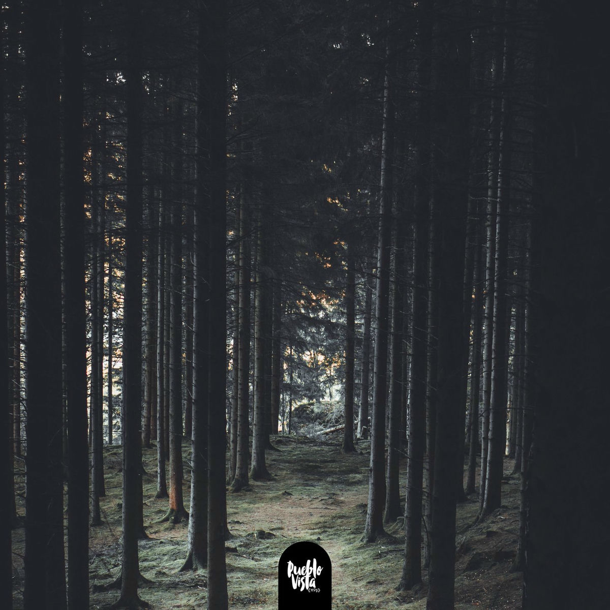 Album cover of owl