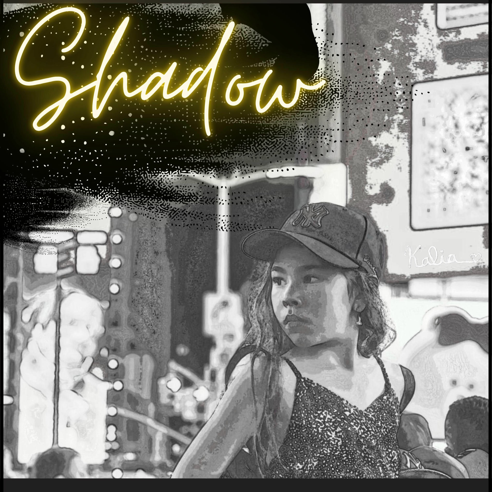 Album cover of Shadow