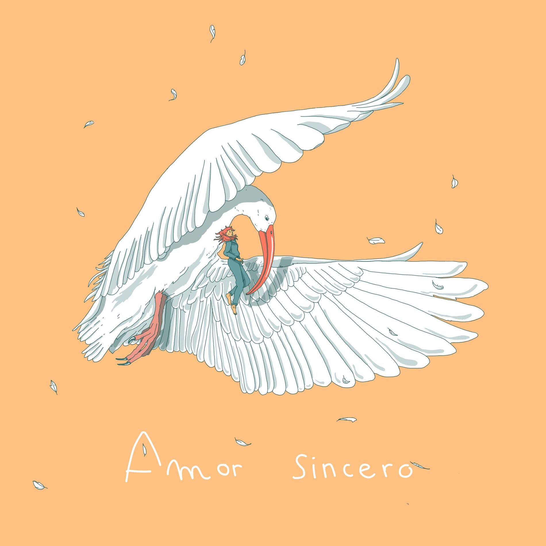 Album cover of Amor Sincero