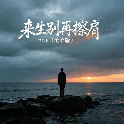 来生别再擦肩 (沧桑版)