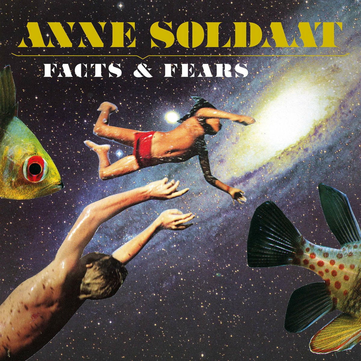 Album cover of Facts & Fears