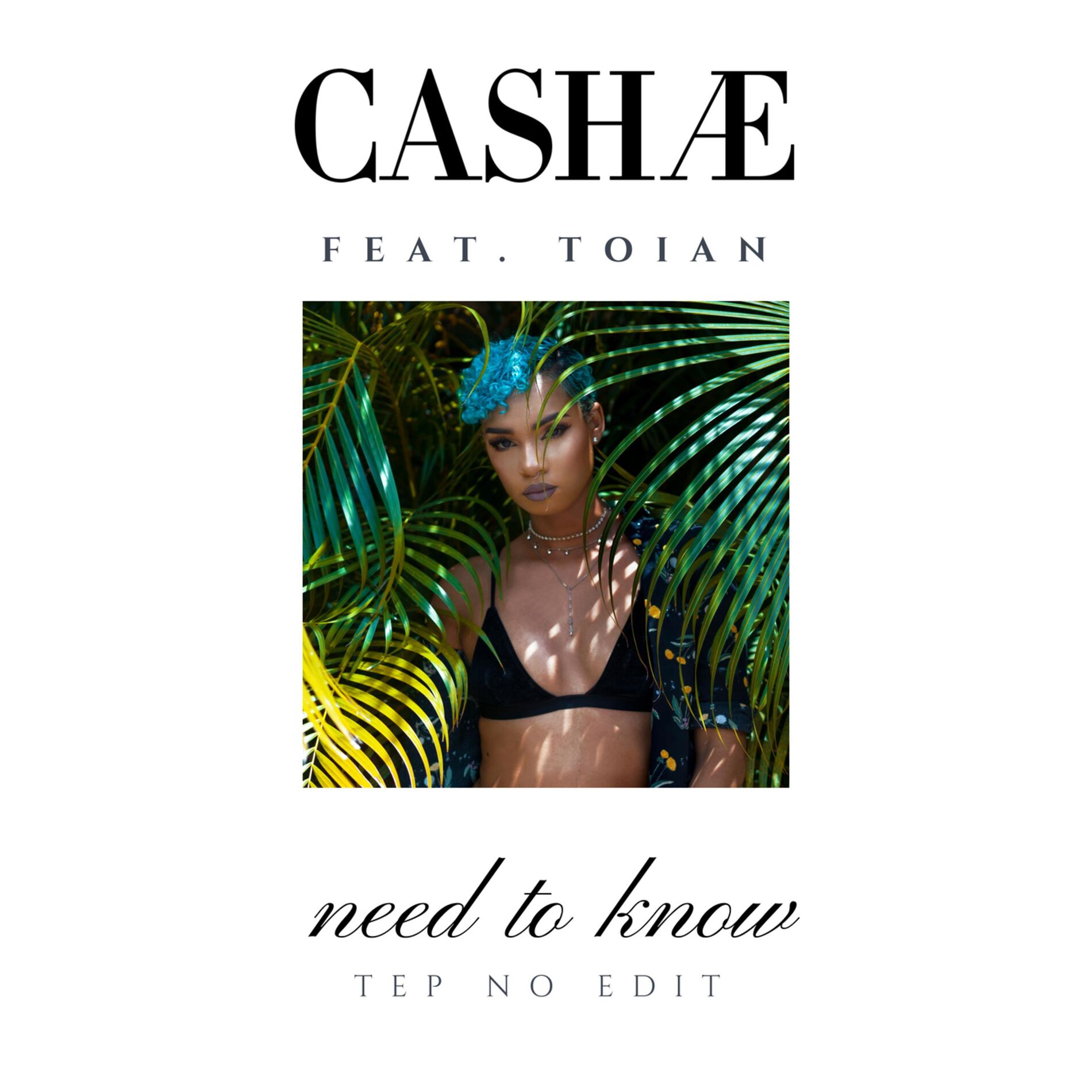 Album cover of Need to Know (feat. Toian) [Tep No Edit]