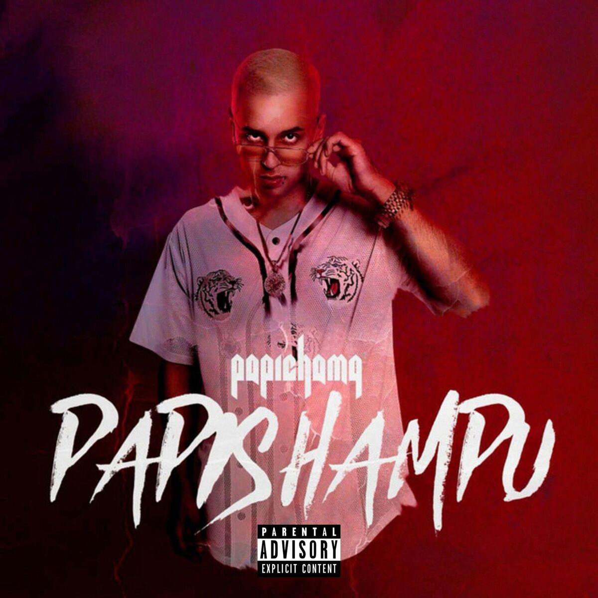 Album cover of Papi Shampu
