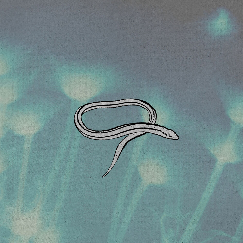 Picture of Bring On the Snakes (Deluxe Edition)