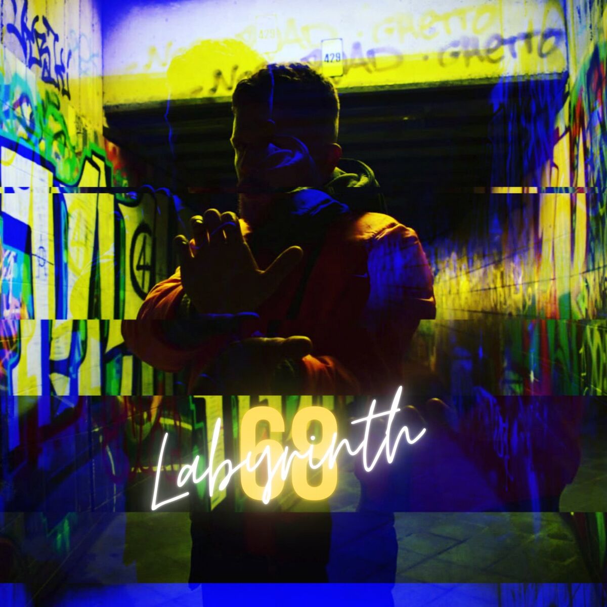 Album cover of Labyrinth