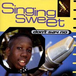 Cover of Don't Say No
