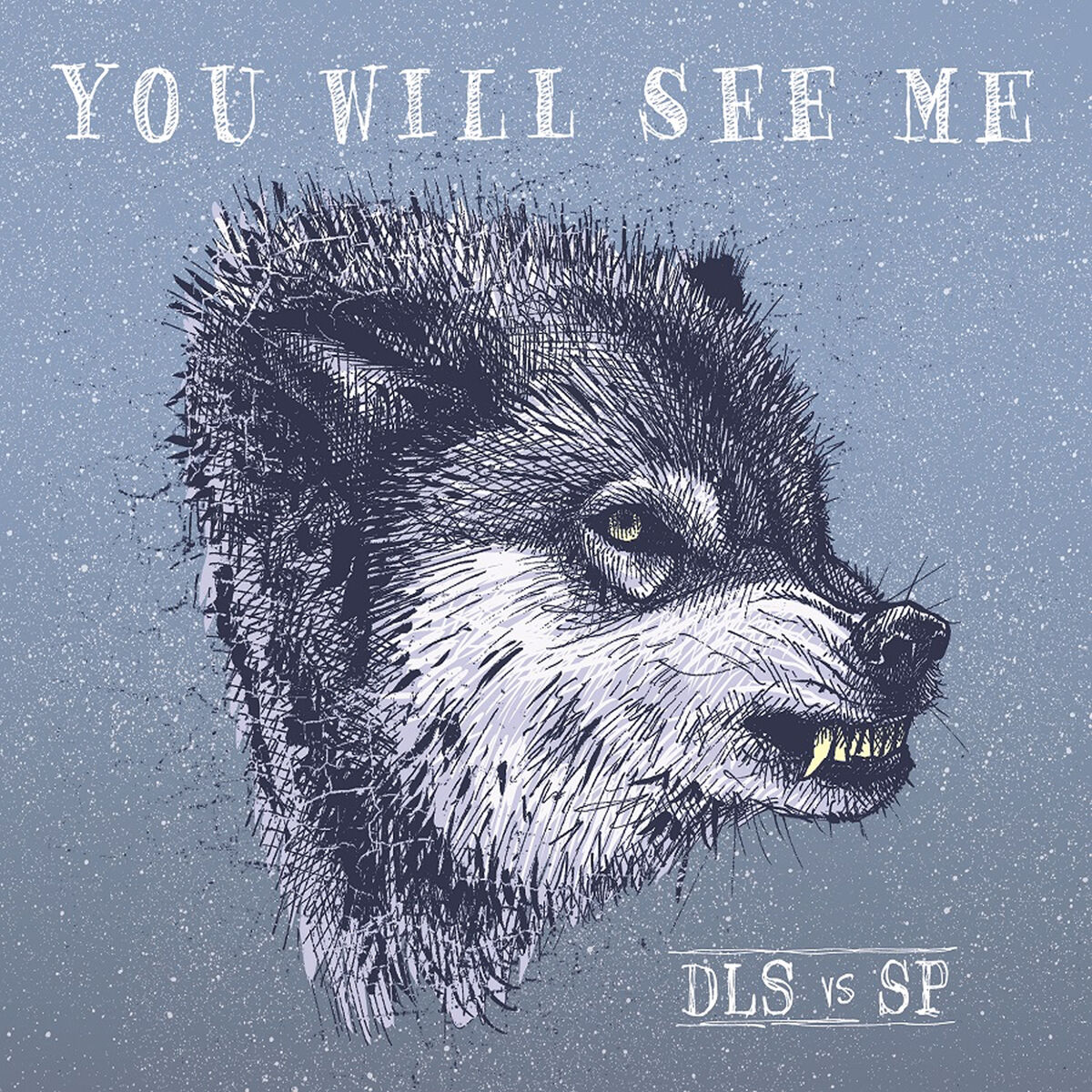 Album cover of You Will See Me