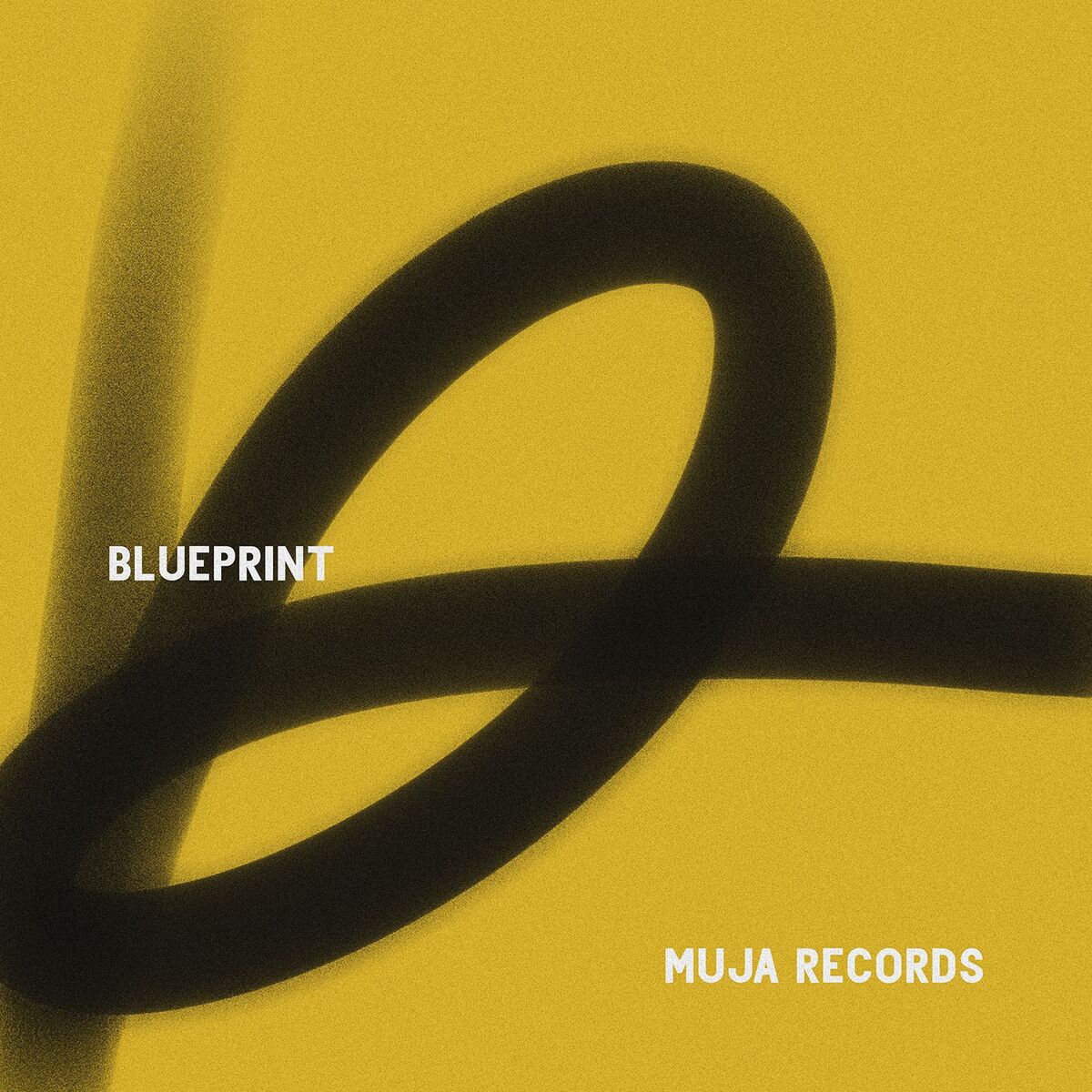 Album cover of Blueprint