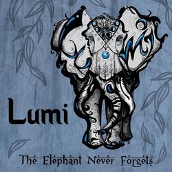 Cover of The Elephant Never Forgets