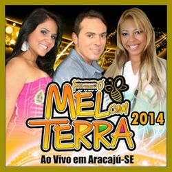 Cover of Aracaju Forró Folia Ao Vivo - 1995