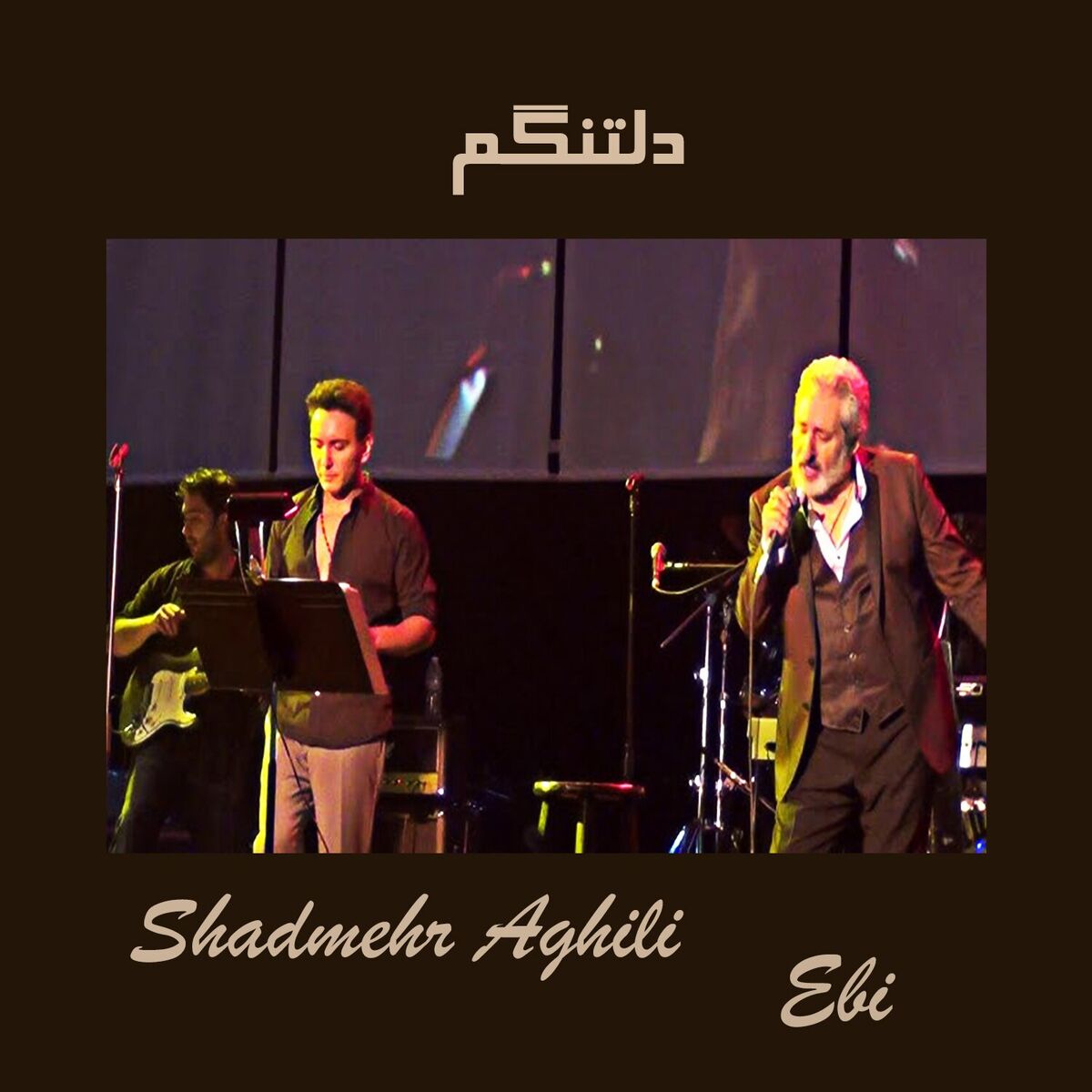 Album cover of دلتنگم