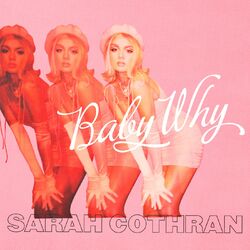 Cover of Baby Why
