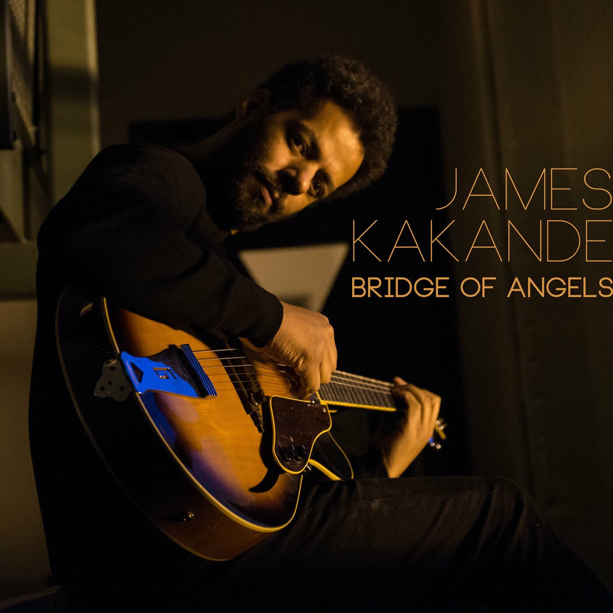 Album cover of Bridge Of Angels