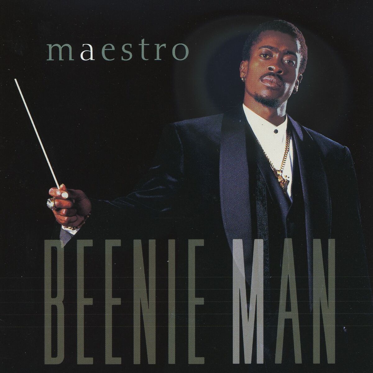 Album cover of Maestro