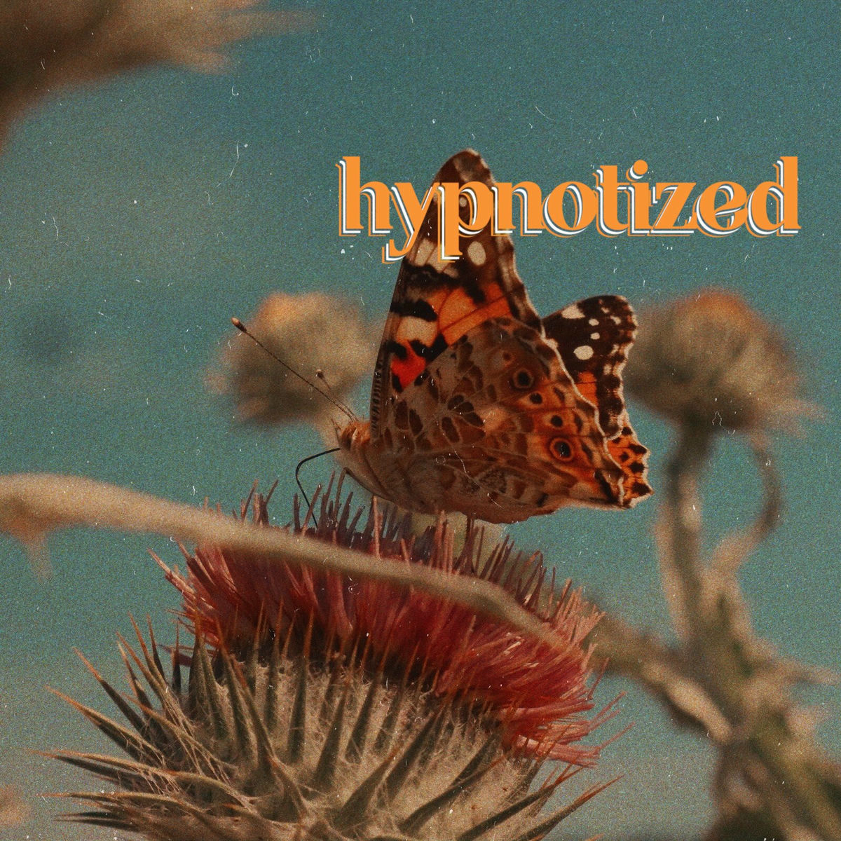 Album cover of Hypnotized