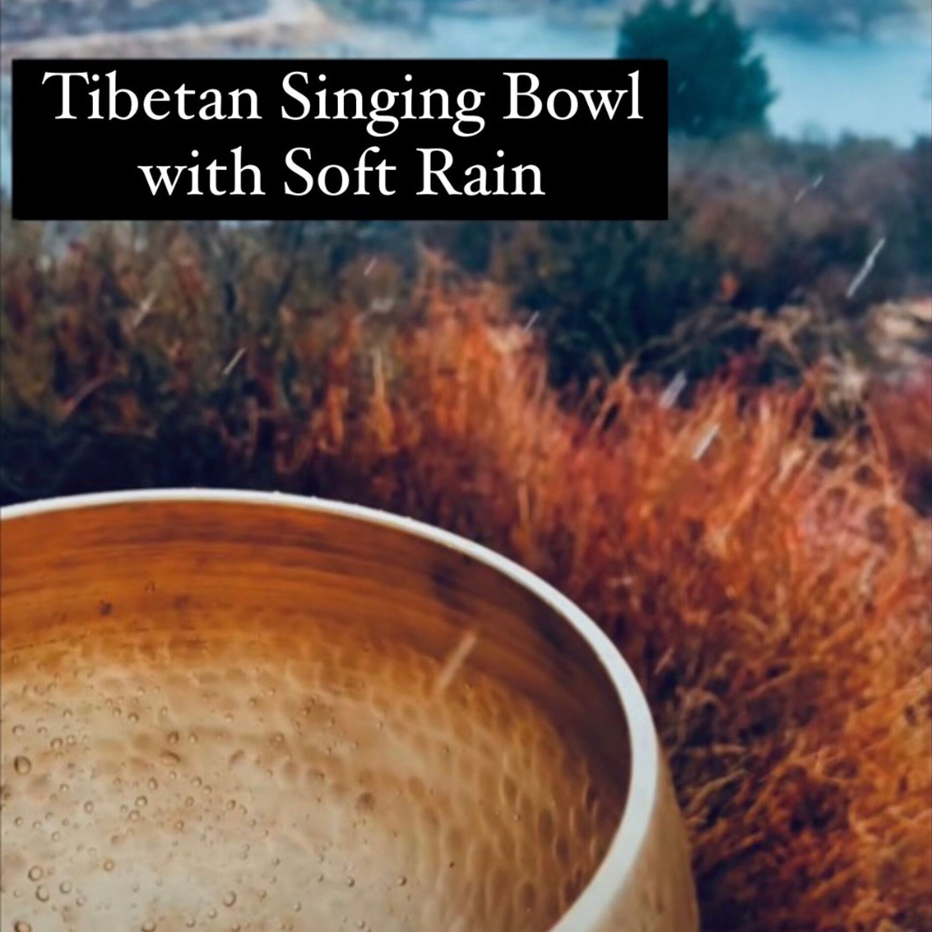 Album cover of Tibetan Singing Bowl with Soft Rain