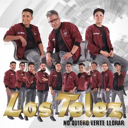 Cover of No Quiero Verte Llorar