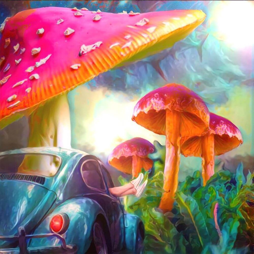 Picture of Julia Dream
