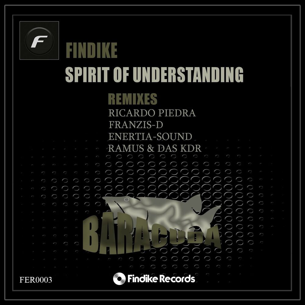 Picture of Spirit of Understanding