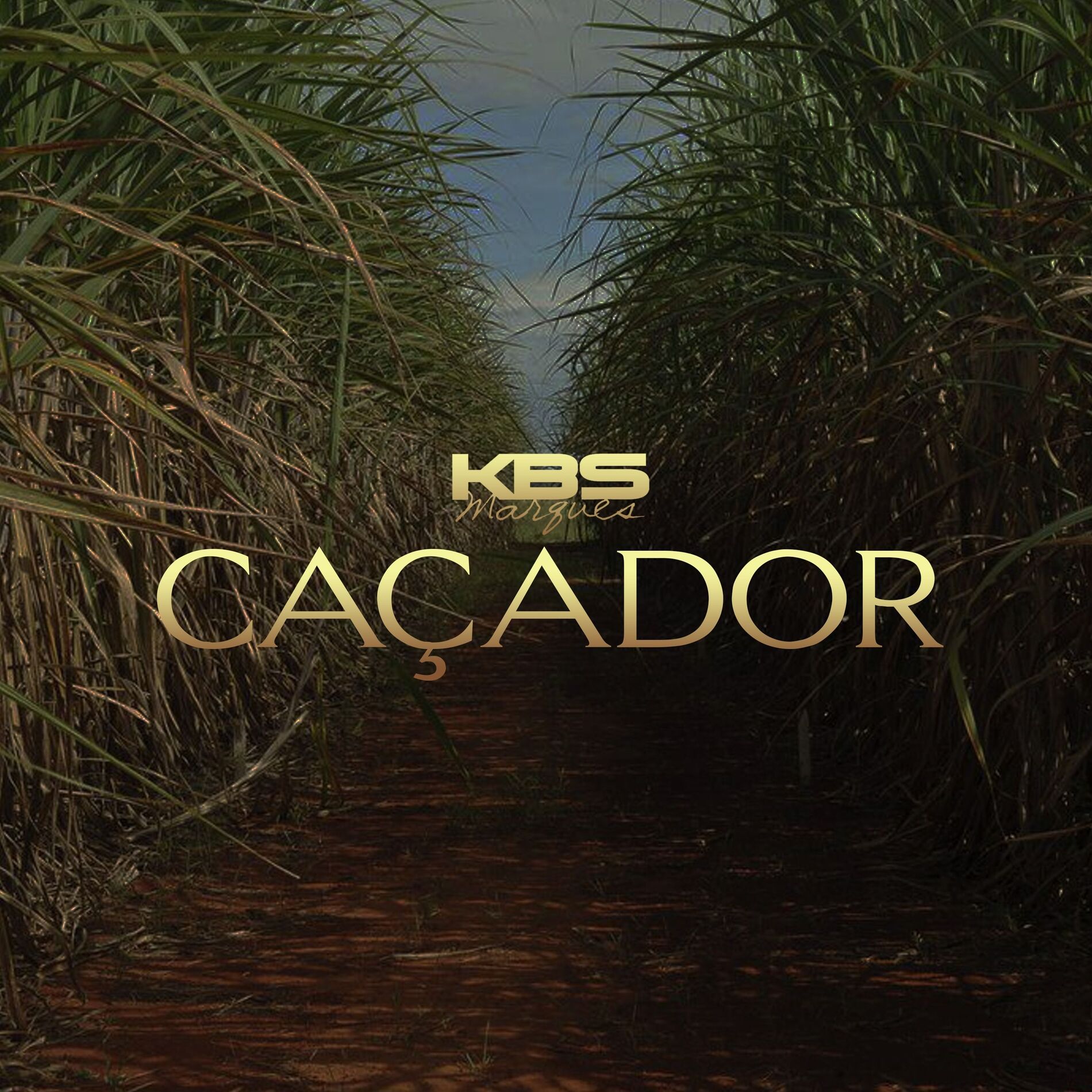 Album cover of Caçador