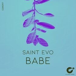 Cover of Babe