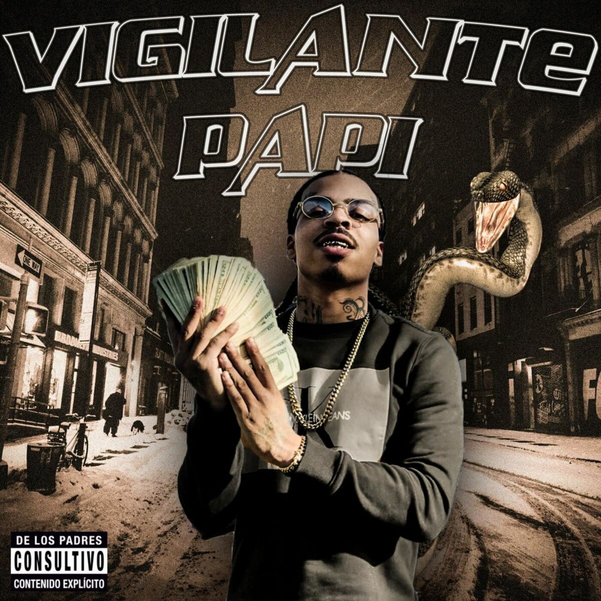Album cover of Vigilante Papi