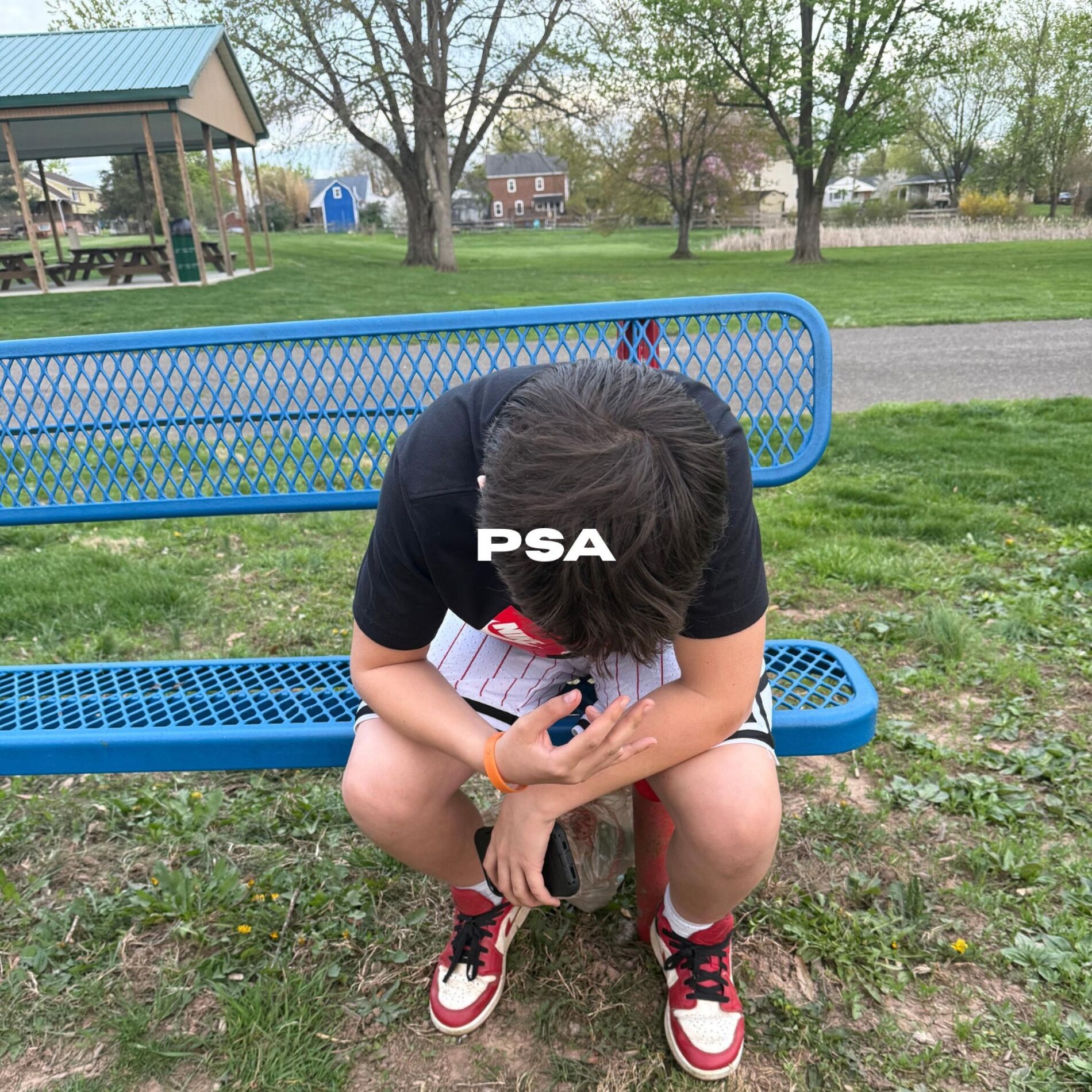 Album cover of PSA (feat. lilstewy & kam)